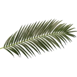 Fronda De Areca Gigante Decorativa, Longitud 180 Cm