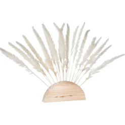 Fronda De Hierba De La Pampa Blanca Al Palo 45 Cm