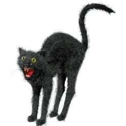 Gato Negro