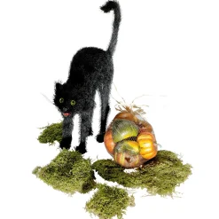 Gato Negro