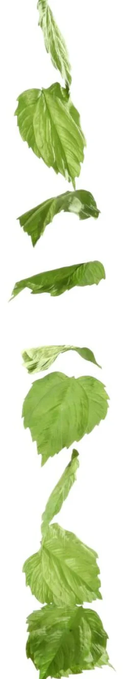 Guirnalda Artificial De Hojas De Abedul 160 Cm