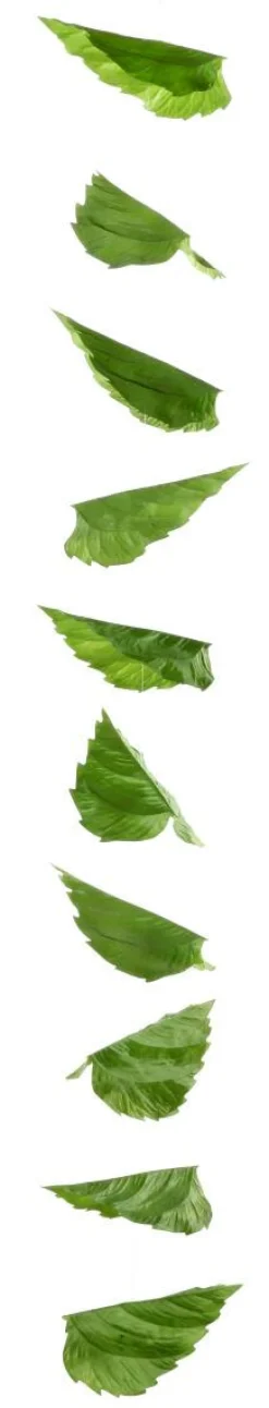 Guirnalda Artificial De Hojas De Abedul 160 Cm