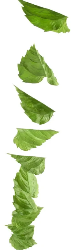 Guirnalda Artificial De Hojas De Abedul 160 Cm