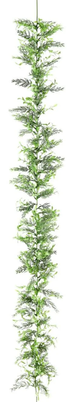 Guirnalda De Ciprés Y Boje, Longitud: 170 Cm