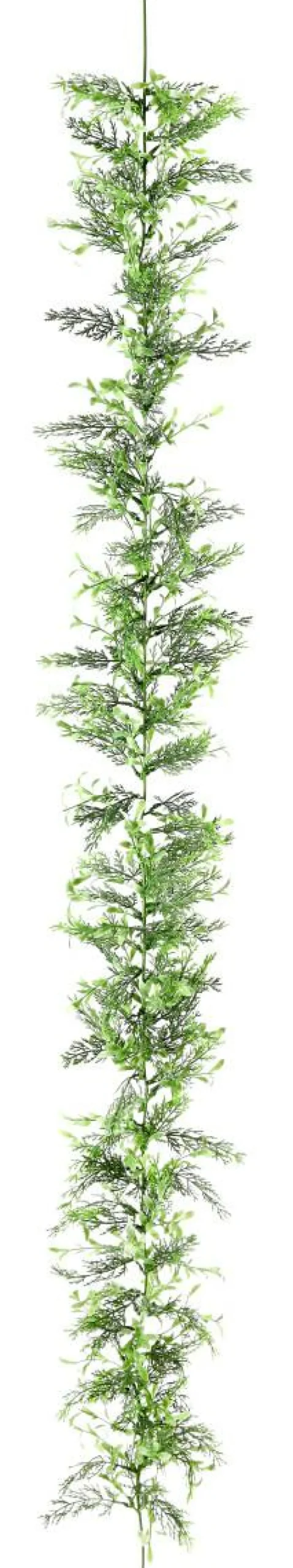 Guirnalda De Ciprés Y Boje, Longitud: 170 Cm
