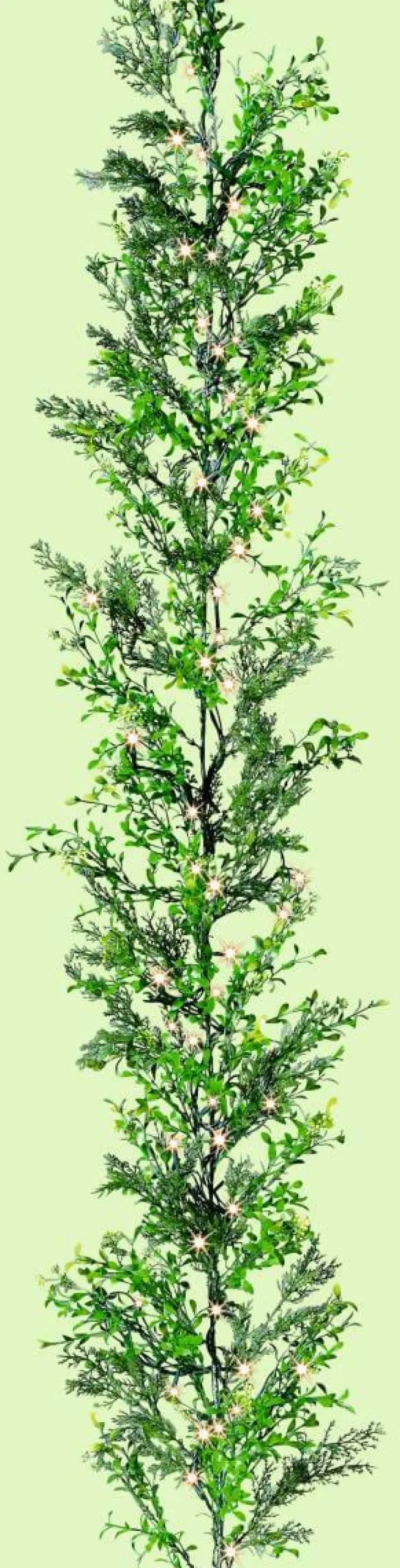 Guirnalda De Ciprés Y Boje, Longitud: 170 Cm