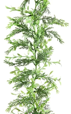 Guirnalda De Ciprés Y Boje, Longitud: 170 Cm
