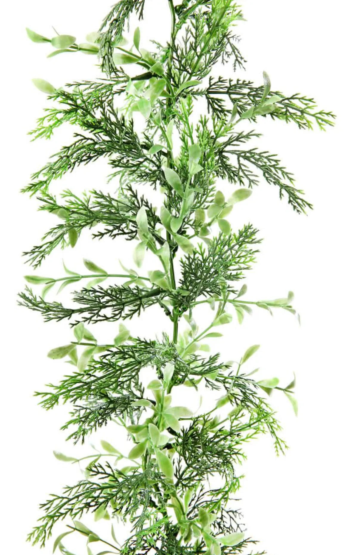 Guirnalda De Ciprés Y Boje, Longitud: 170 Cm