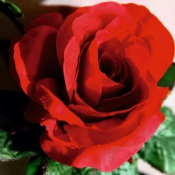 Guirnalda De Rosas Artificial 180 Cm, Color Rojo