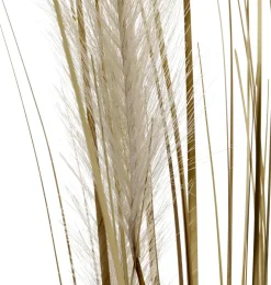 Haz De Hierba Seca De 150 Cm De Altura, En Maceta Blanca Ø 20 Cm