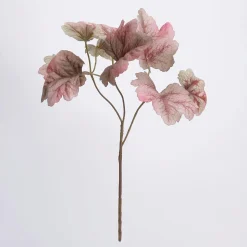 Heuchera De Otoño Rama Frondosa 40 Cm Rosa