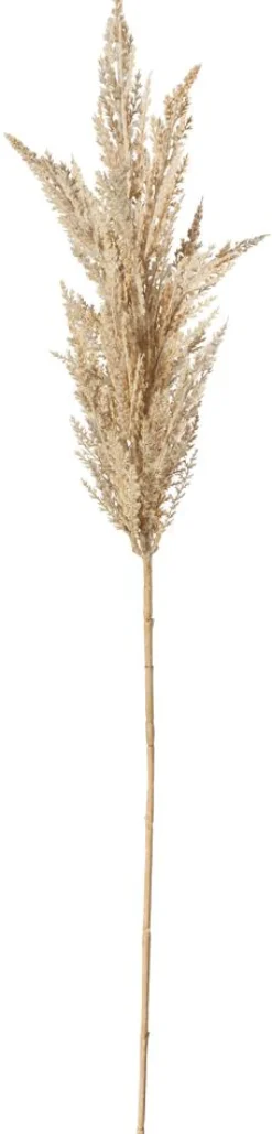 Hierba De La Pampa De Caña Decorativa, 94 Cm