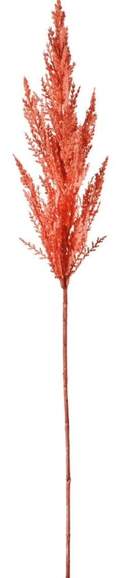 Hierba De La Pampa De Caña Decorativa, 94 Cm
