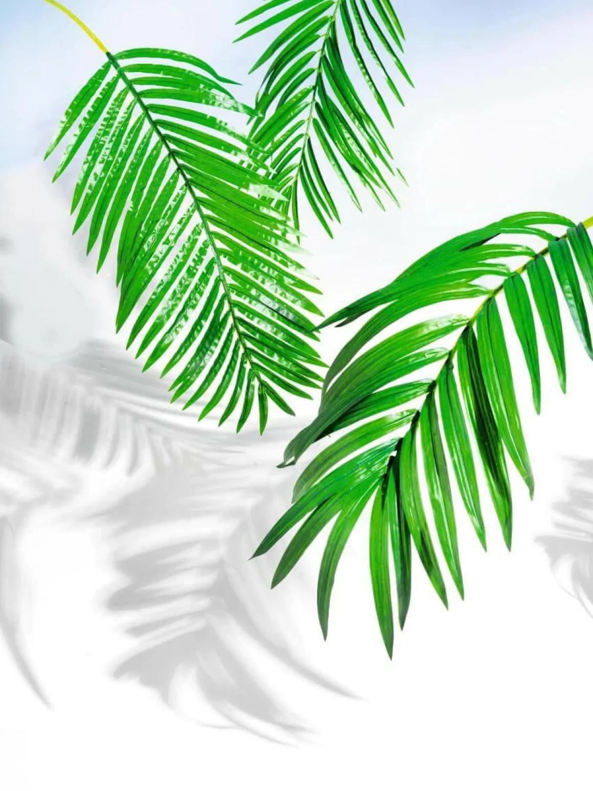 Hoja De Palmera Areca Decorativa, Longitud 98 Cm