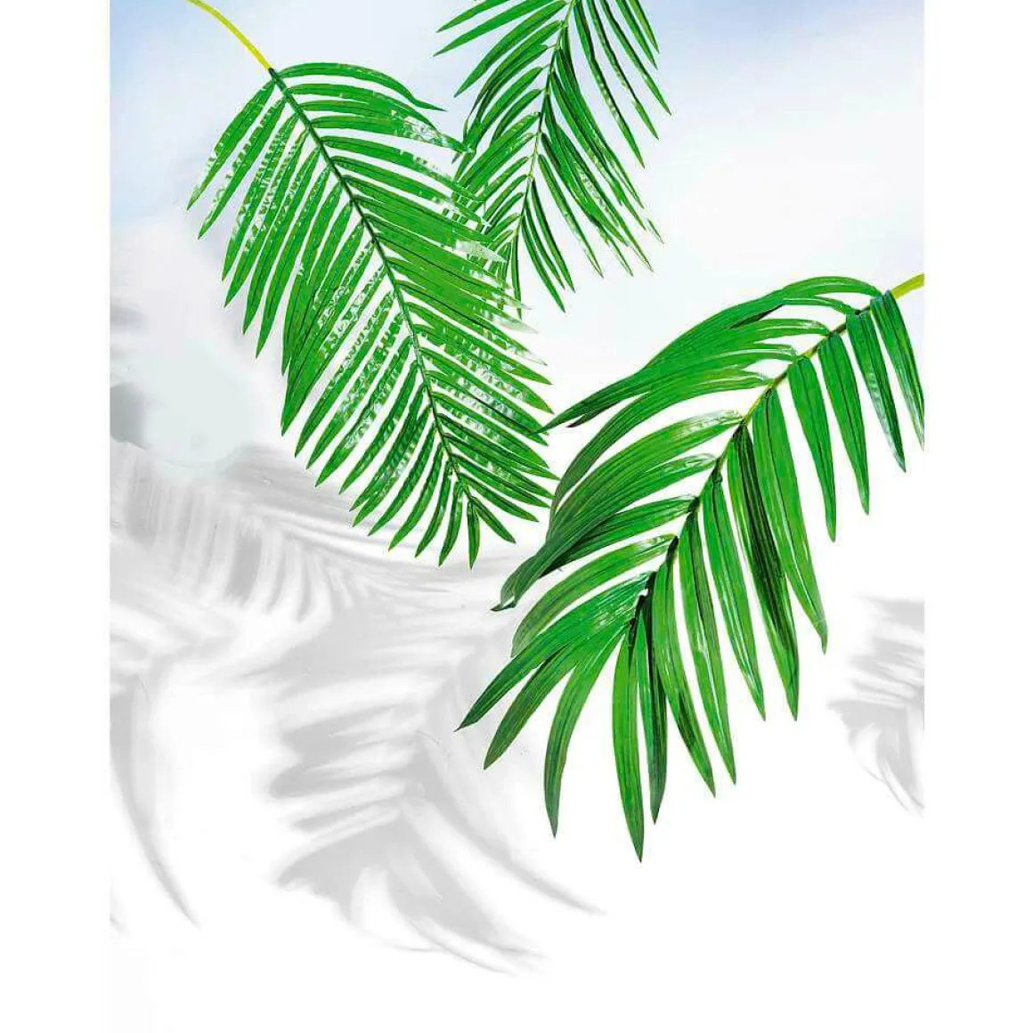 Hoja De Palmera Areca Decorativa, Longitud 115 Cm