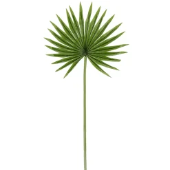 Hoja De Palmera En Abanico Decorativa, Longitud 66 Cm, 2 Piezas