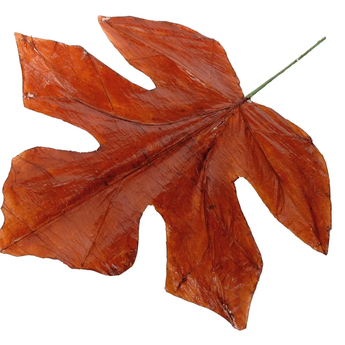 Hojas De Otoño Decorativas 80 Cm, 3 Pz.