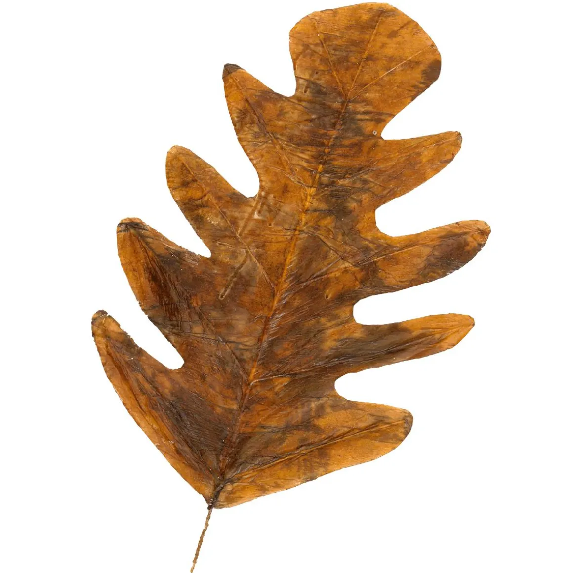 Hojas De Otoño Decorativas 80 Cm, 3 Pz.
