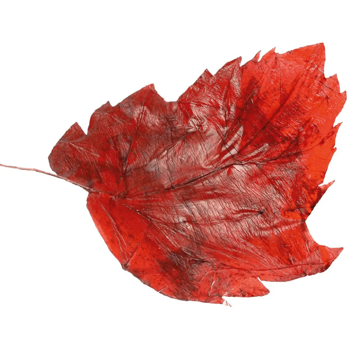 Hojas De Otoño Decorativas 80 Cm, 3 Pz.