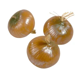 Imitación De Cebolla Marrón, 3 Piezas