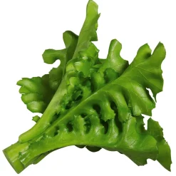 Imitación De Ensalada De Rúgula, Ø 16 Cm, 2 Piezas