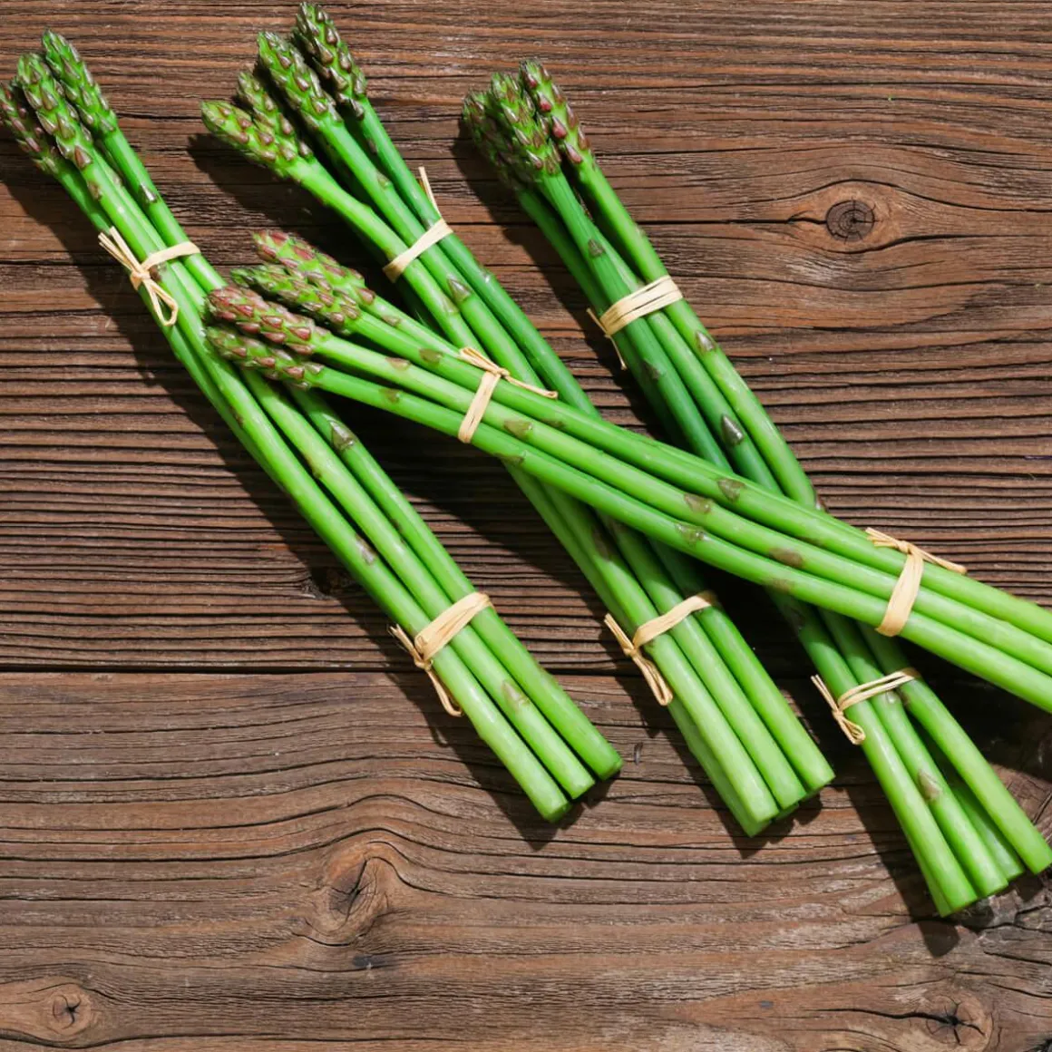 Imitación De Espárragos Verdes, Paquete Con 4 Piezas