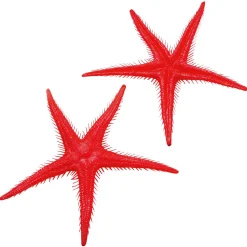 Imitación De Estrella Do Mar, 2 Piezas