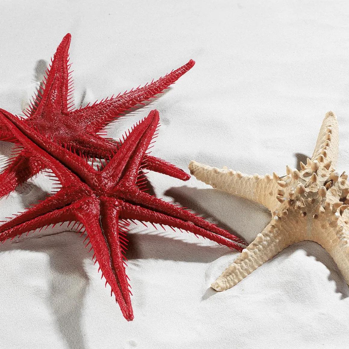 Imitación De Estrella Do Mar, 2 Piezas