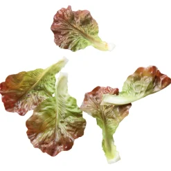 Imitación De Hojas De Ensalada Comida, 5 Piezas