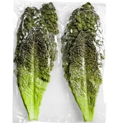 Imitación De Hojas De Lechuga Romana Verde - Rojo, 6 Piezas