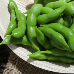 Imitación De Judías Verdes, 10 Piezas