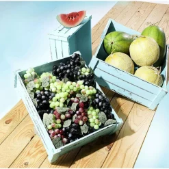 Imitación De Melón Galia 16 Cm Ø