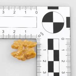 Imitación De Mitades De Nuez, 12 Piezas