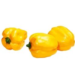 Imitación De Pimiento Amarillo, 3 Piezas