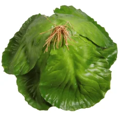 Imitación De Repollo, Ø 13 Cm