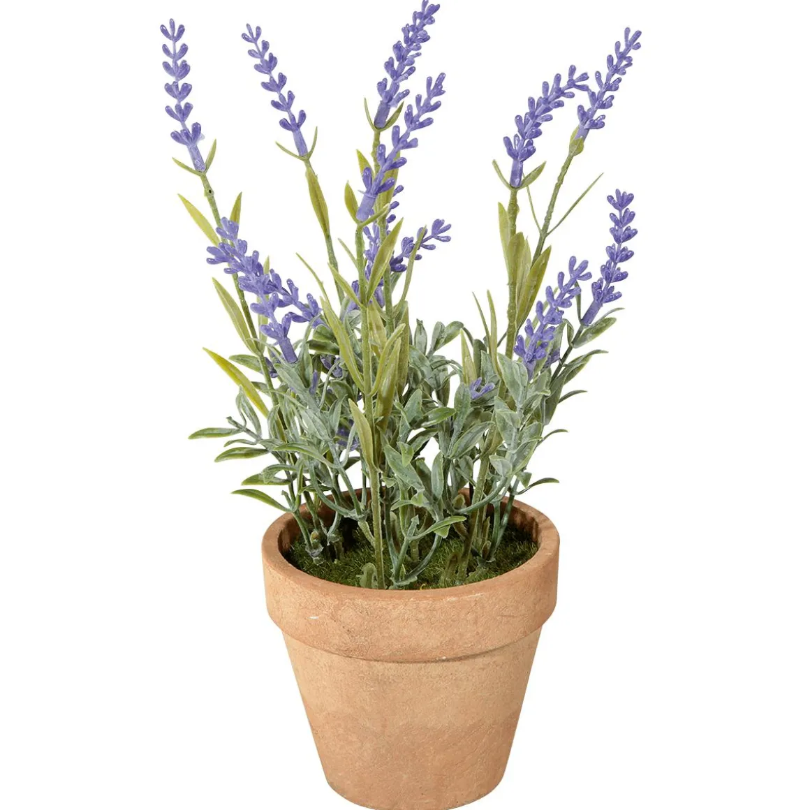 Lavanda Decorativa Con Maceta, 23 Cm