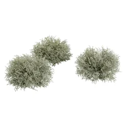 Liquen Artificial, 3 Piezas