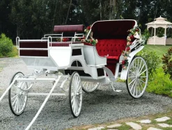 Lona XXL "Carroza De Boda Blanca" De Lona De Camión Ignífuga 250 X 330 Cm
