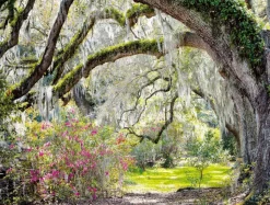 Lona XXL "Parque Con Musgo Español" De Lona De Camión Ignífuga 250 X 330 Cm