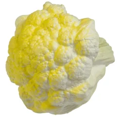 Maniquí De Coliflor 13 Cm Ø
