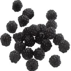 Maniquí De Moras, 24 Piezas