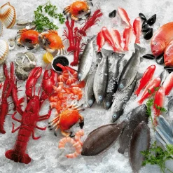 Maniquí De Salmonete De Mar