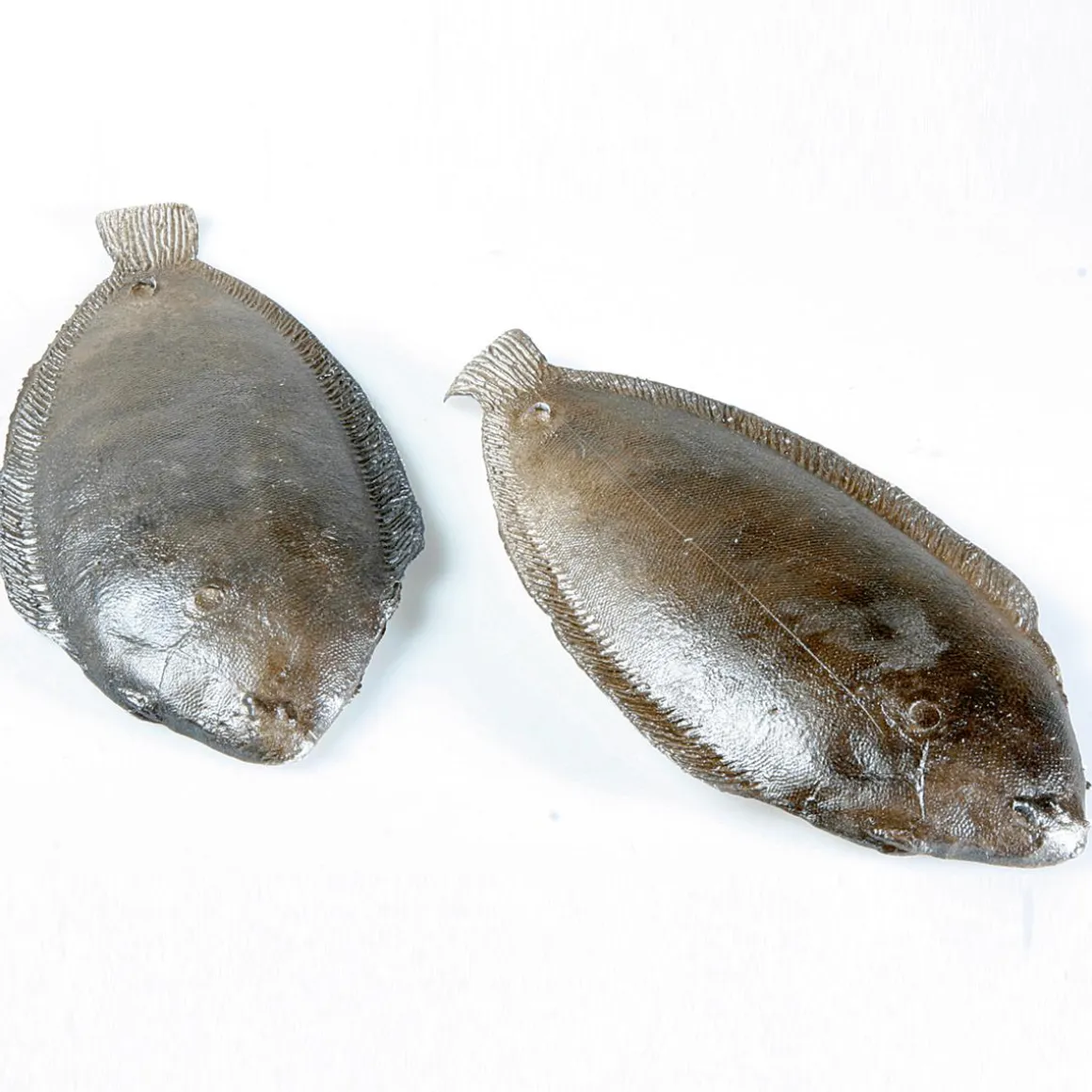 Maniquí De Solla, 2 Piezas