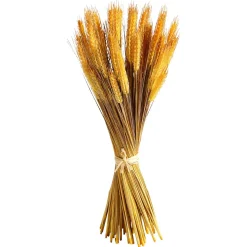 Manojo De Espigas De Trigo Decorativo 60 Cm