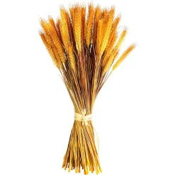 Manojo De Espigas De Trigo Decorativo 60 Cm