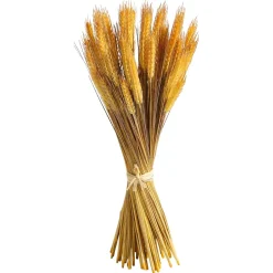 Manojo De Espigas De Trigo Decorativo 60 Cm