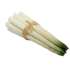 Manojo De Espárragos Alimento De Imitación Verde 20 Cm