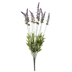Manojo De Hierba De Lavanda Deco 55 X 25 Cm (HxA)