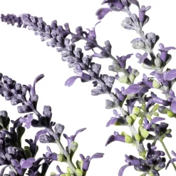Manojo De Hierba De Lavanda Deco 55 X 25 Cm (HxA)