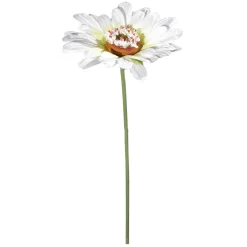 Margarita Gigante Blanca, 100 Cm, Ø 36 Cm